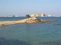 Monodendri, Lipsi